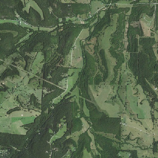 Aerial imagery of Willis Branch, AR