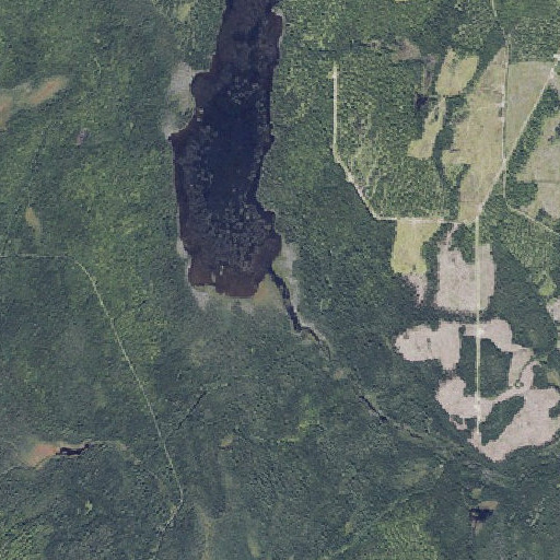 Aerial imagery of Cut Brook, ME