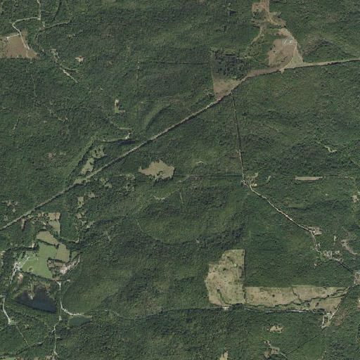 Aerial imagery of Wolf School, AR
