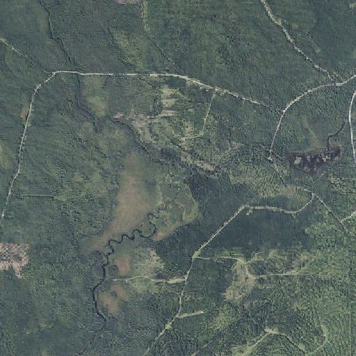 Aerial imagery of Duck Brook, ME