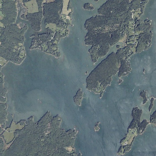Aerial imagery of Eastern Branch, ME