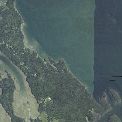 Aerial imagery of Edgecomb Point, ME