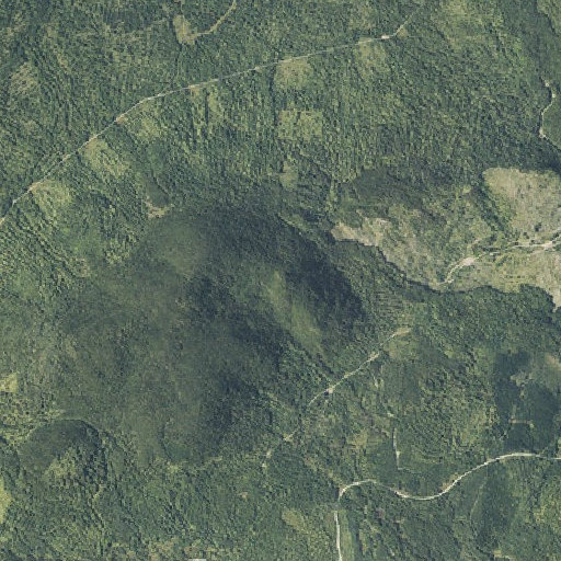 Aerial imagery of Elephants Head, ME