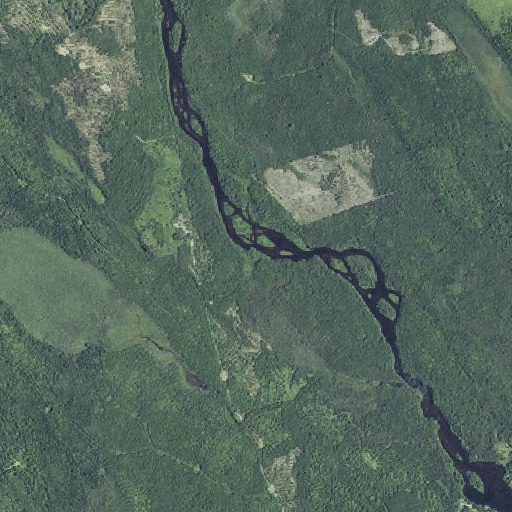 Aerial imagery of Ellen Brook, ME