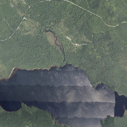 Aerial imagery of Elwell Brook, ME