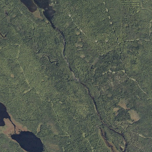 Aerial imagery of First Brook, ME