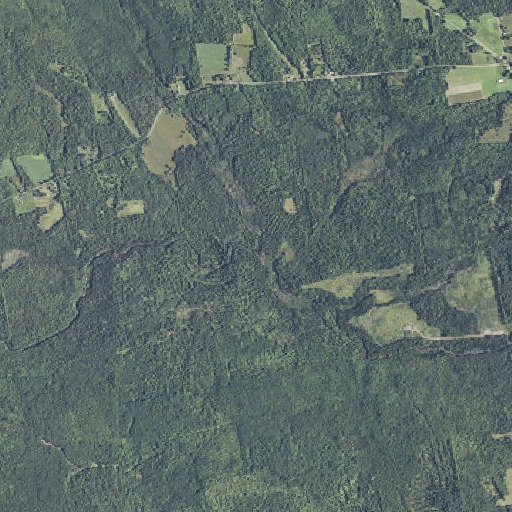 Aerial imagery of French Mills Brook, ME