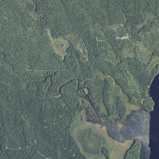 Aerial imagery of Gardner Brook, ME