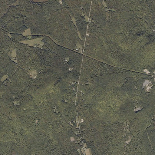 Aerial imagery of Guild School (historical), ME