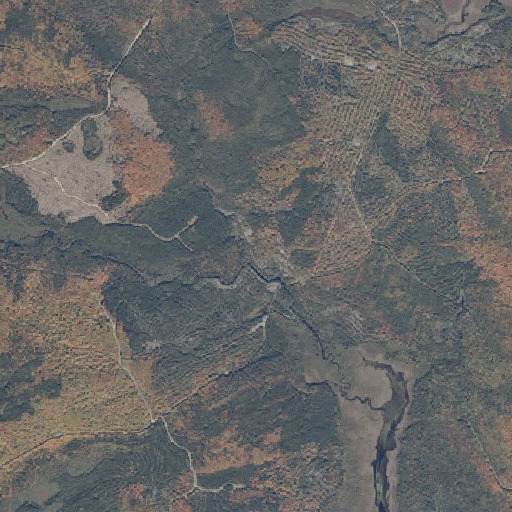 Aerial imagery of Gulliver Brook, ME