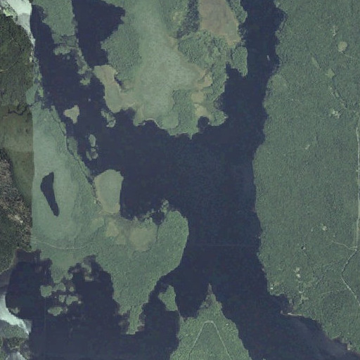 Aerial imagery of Harmon Stream, ME