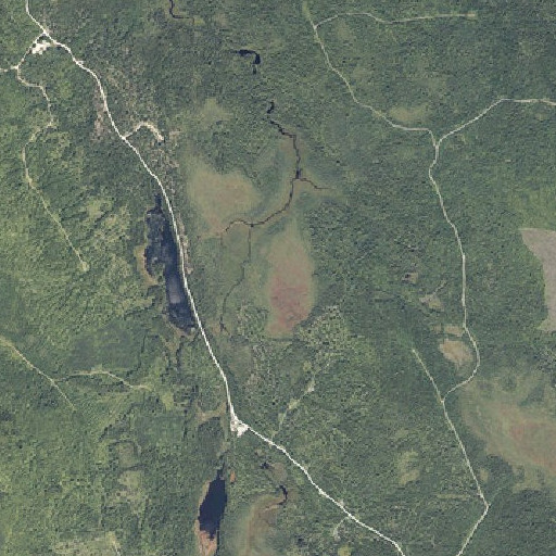 Aerial imagery of Libby Bog, ME