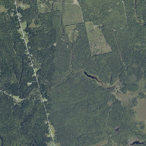 Aerial imagery of Marst Brook, ME