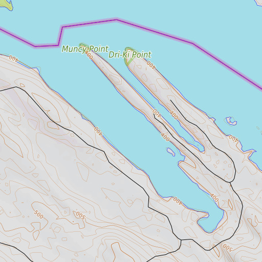 OpenTopoMap map of Muncy Cove, ME