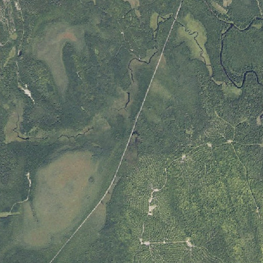 Aerial imagery of Ricker Siding, ME