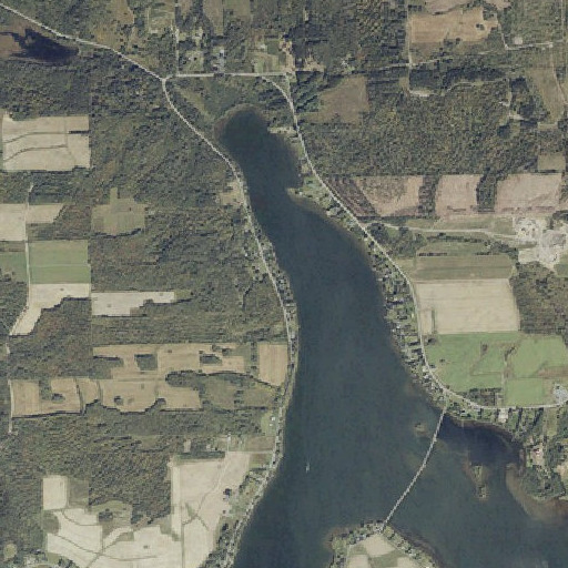 Aerial imagery of Roosevelt School, ME