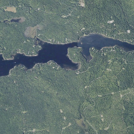 Aerial imagery of Smith Brook, ME