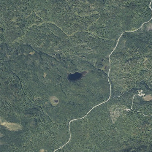 Aerial imagery of Smith Pond, ME
