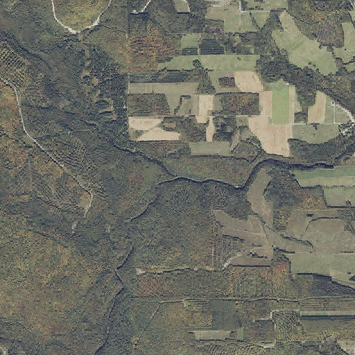 Aerial imagery of Spaulding Brook, ME