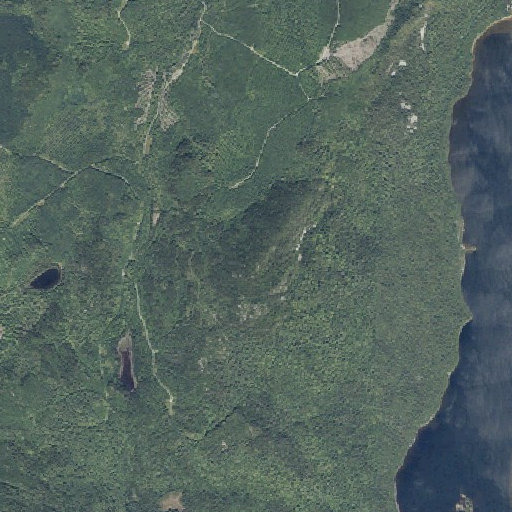 Aerial imagery of Spencer Mountain, ME