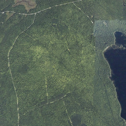 Aerial imagery of Thirtyfive Ridge, ME