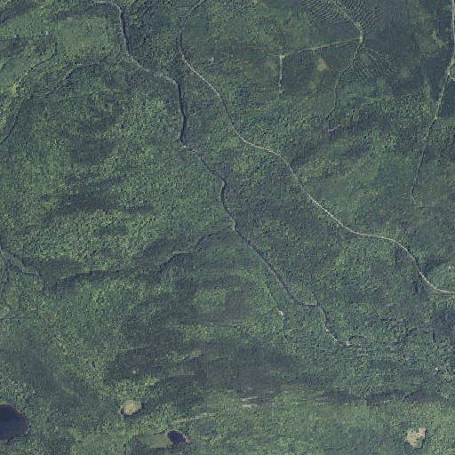 Aerial imagery of Thompson Brook, ME