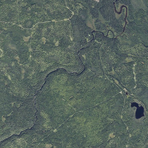 Aerial imagery of Tiger Rips, ME