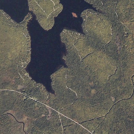 Aerial imagery of Tobin Brook, ME