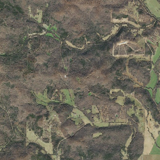 Aerial imagery of Ellison Hill, AR