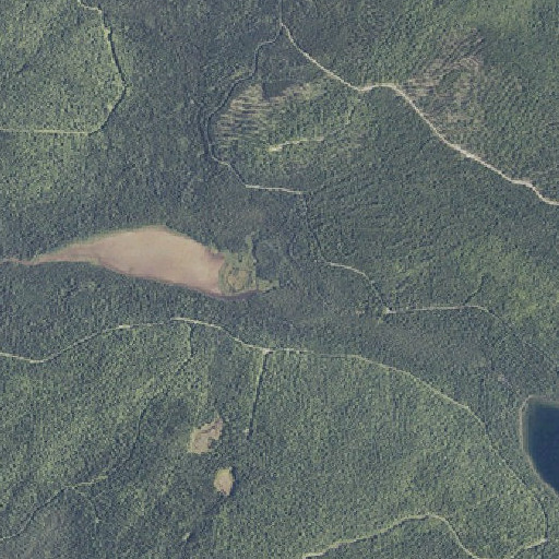 Aerial imagery of Togue Stream, ME