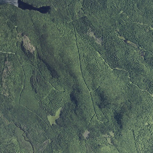 Aerial imagery of Tomah Mountain, ME