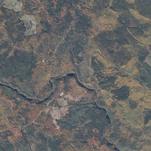 Aerial imagery of Tomhegan Stream, ME
