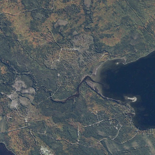 Aerial imagery of Tomhegan Stream, ME