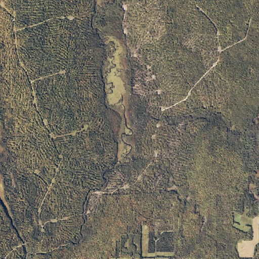 Aerial imagery of Torrie Brook, ME