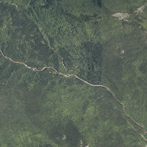 Aerial imagery of Townline Brook, ME