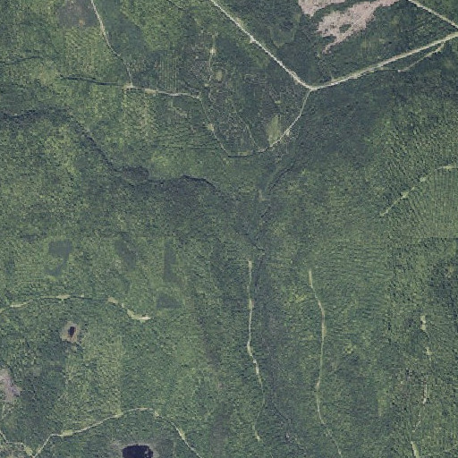 Aerial imagery of Townline Brook, ME