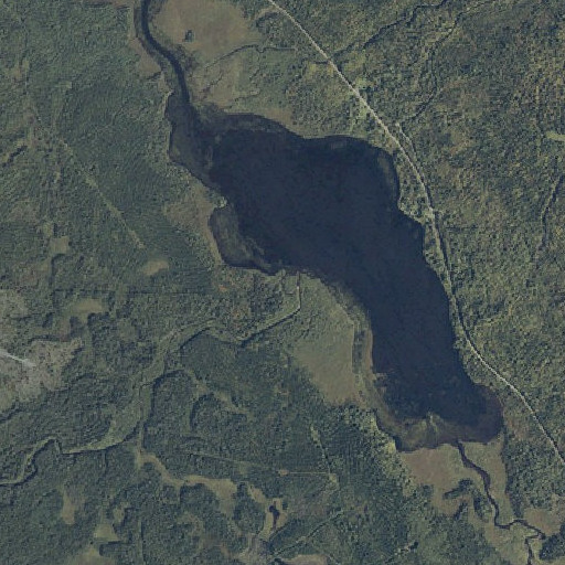 Aerial imagery of Tracy Brook, ME
