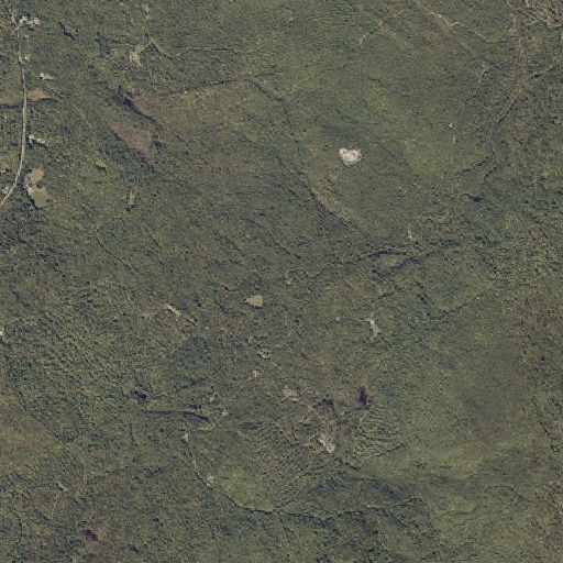 Aerial imagery of Trask Brook, ME
