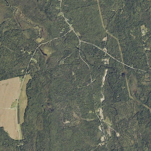 Aerial imagery of Tredwell School, ME