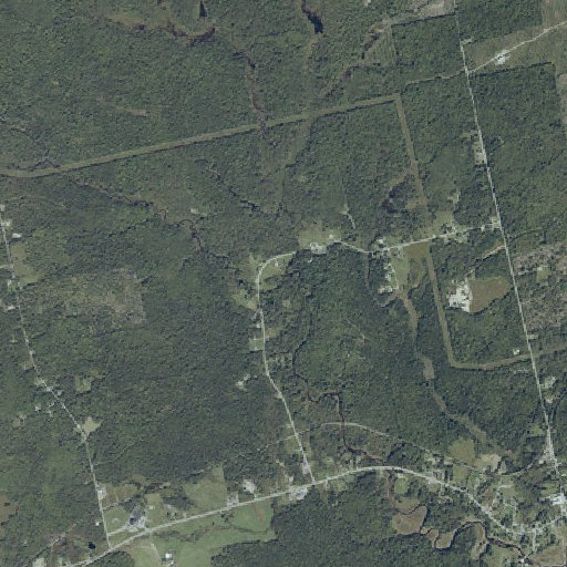 Aerial imagery of Trout Brook, ME