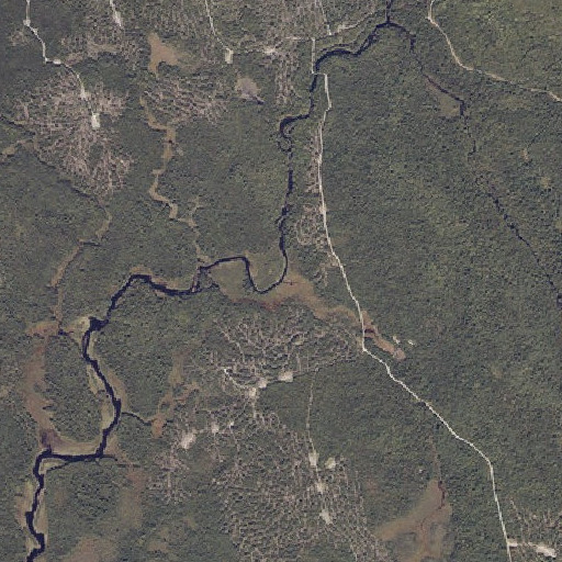 Aerial imagery of Trout Brook, ME