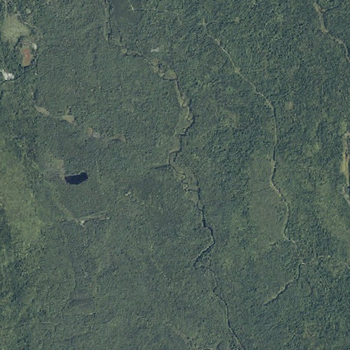 Aerial imagery of Trout Brook, ME