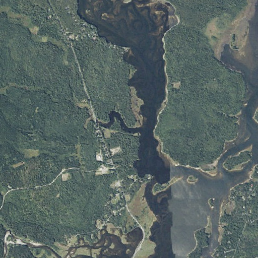 Aerial imagery of Trout Brook, ME