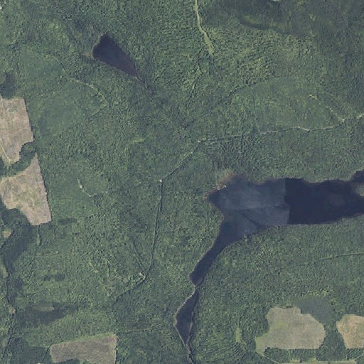 Aerial imagery of Trout Brook, ME