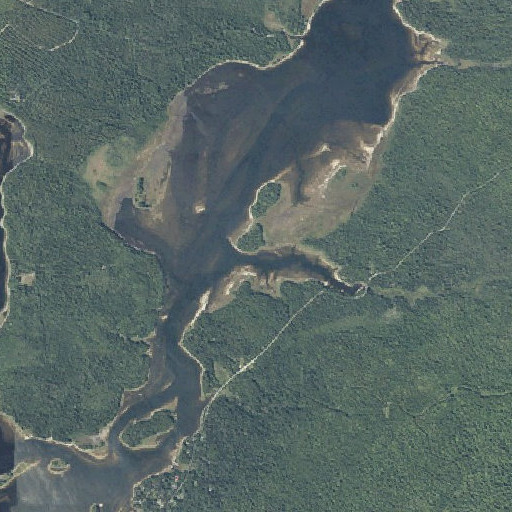 Aerial imagery of Trout Brook, ME