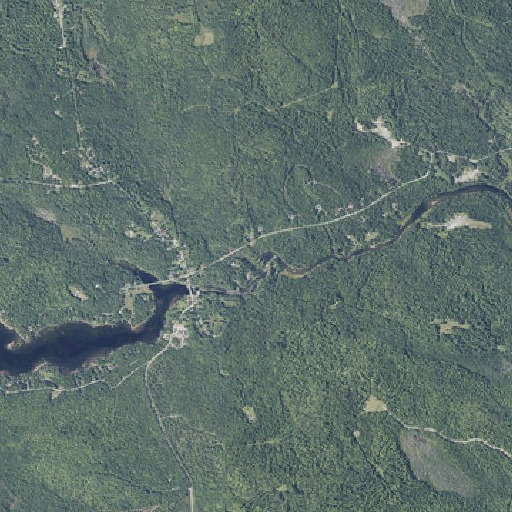 Aerial imagery of Trout Brook, ME