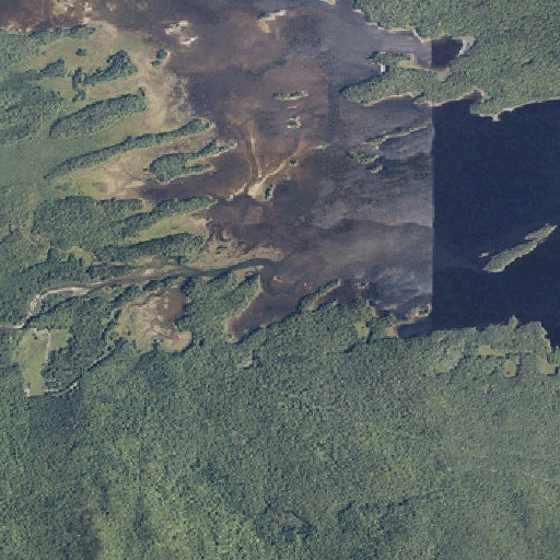 Aerial imagery of Trout Brook, ME