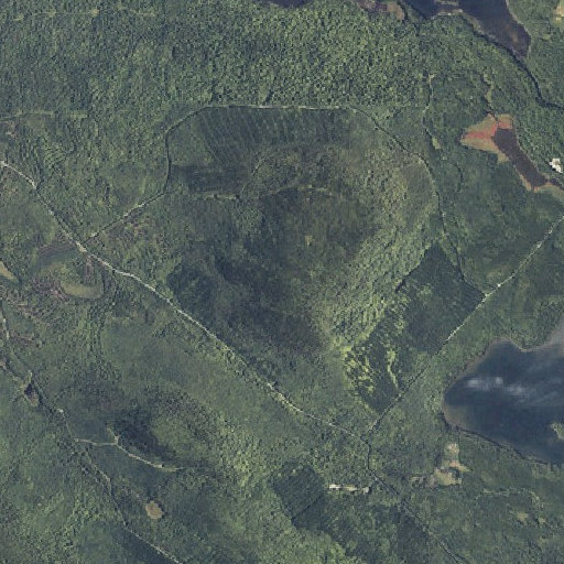 Aerial imagery of Trout Mountain, ME