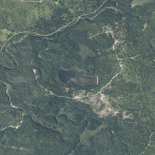 Aerial imagery of Trout Pond, ME