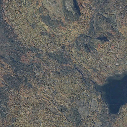 Aerial imagery of Trout Stream, ME